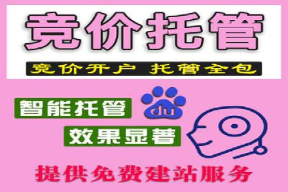 竞价广告的实战经验：一则科技公司的成功案例